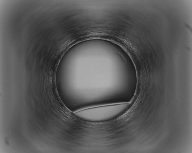 X0000098011257200803280722