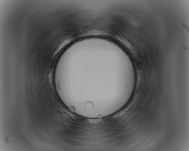 X0000098011258200803280722