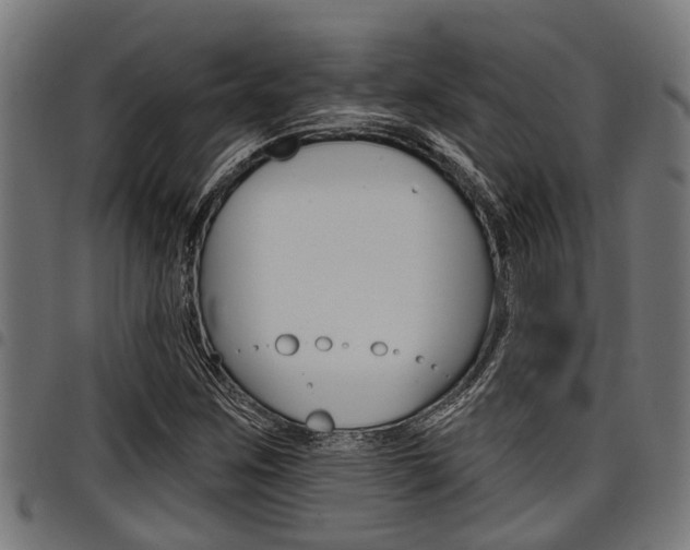X0000098011259200803280722