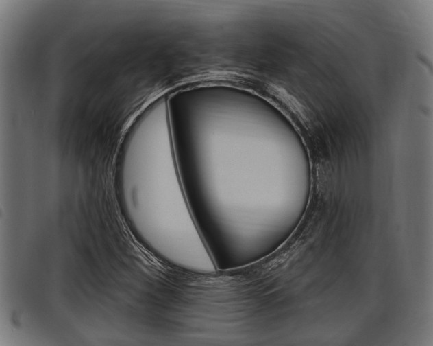 X0000098011260200803280722