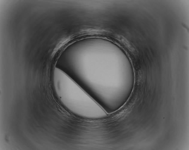 X0000098011261200803280722