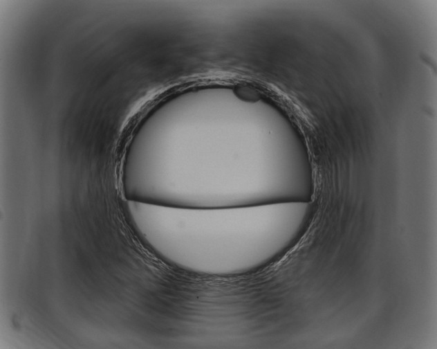 X0000098011262200803280722