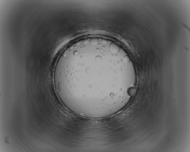 X0000098011263200803280722