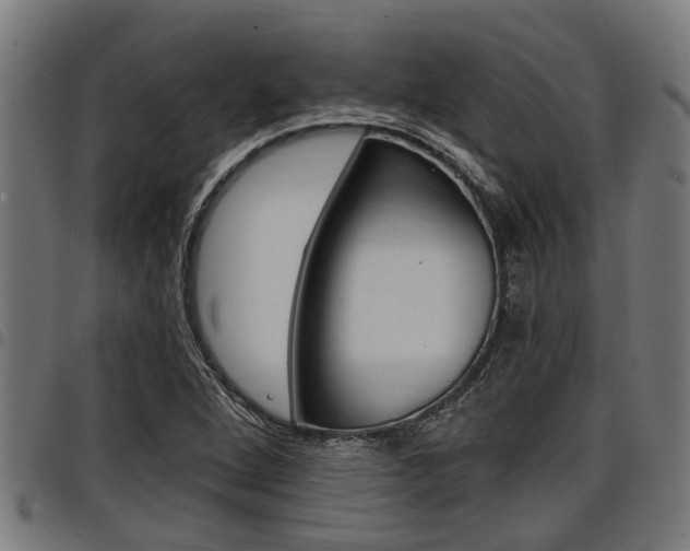 X0000098011264200803280722
