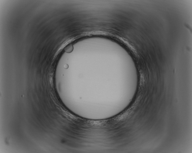 X0000098011266200803280722