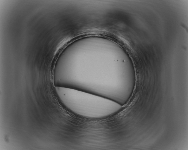 X0000098011267200803280722