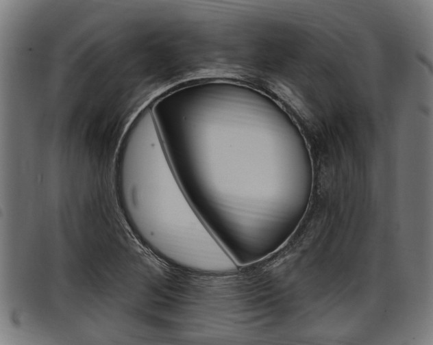 X0000098011268200803280722