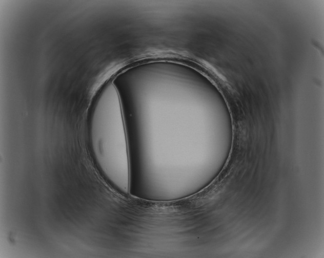 X0000098011269200803280722
