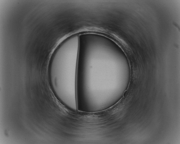 X0000098011272200803280722