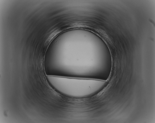 X0000098011273200803280722