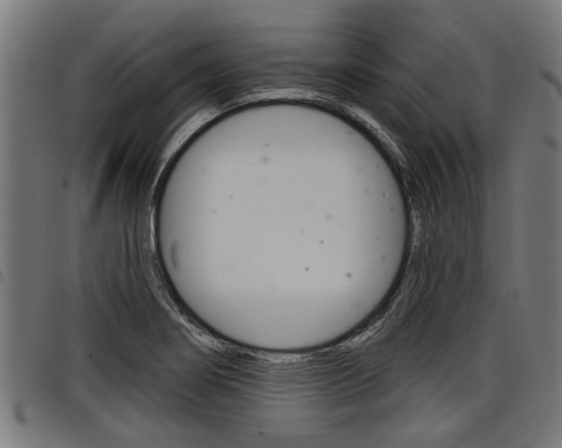 X0000098011274200803280722