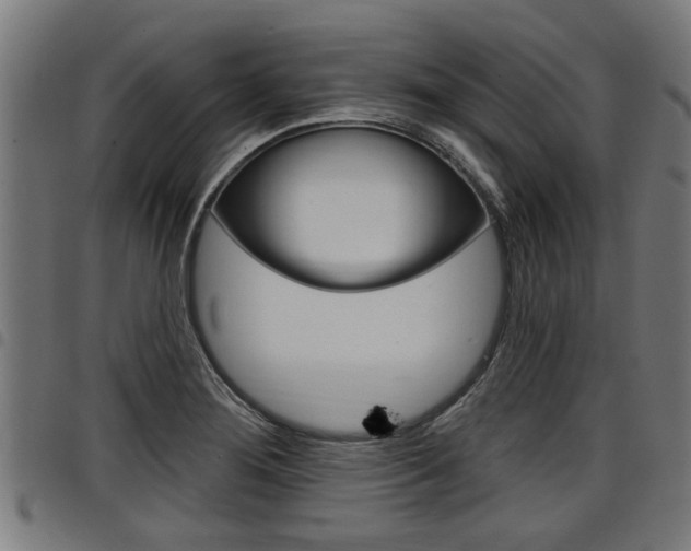 X0000098011276200803280722