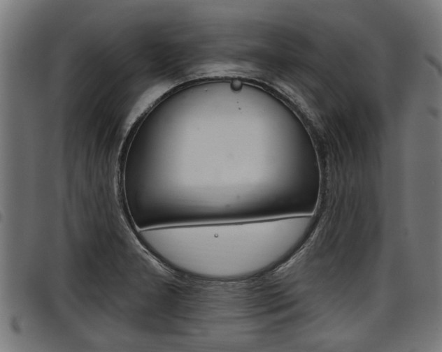 X0000098011277200803280722