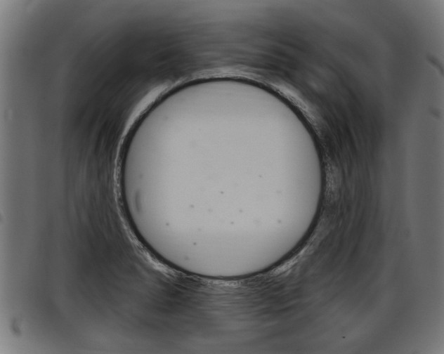 X0000098011278200803280722
