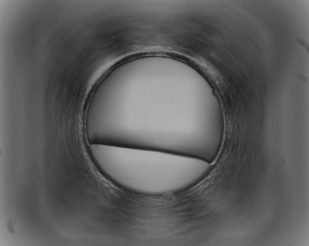 X0000098011279200803280722