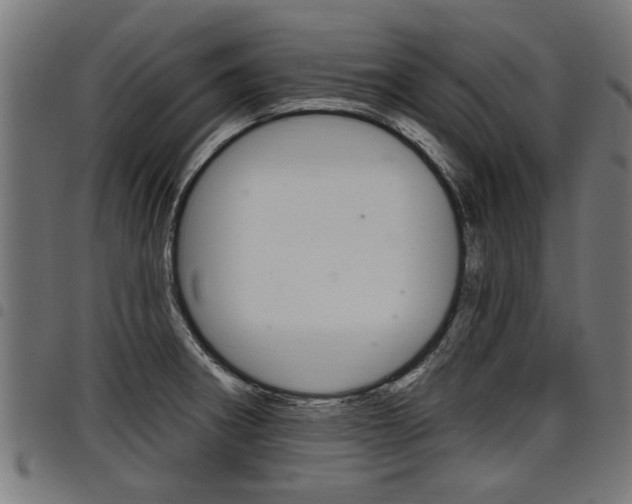 X0000098011282200803280722