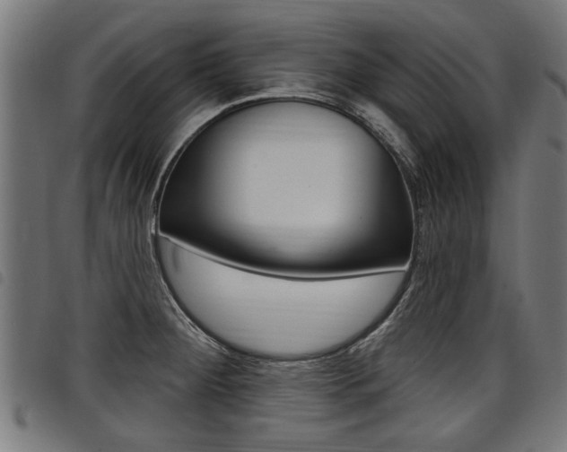X0000098011284200803280722
