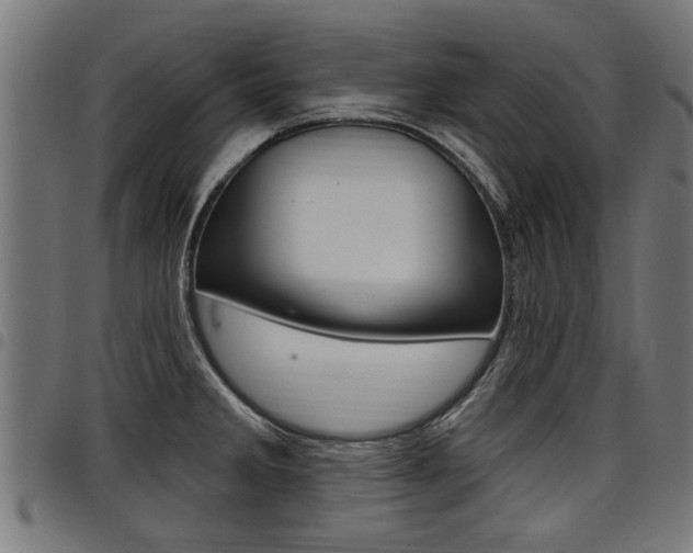 X0000098011285200803280722