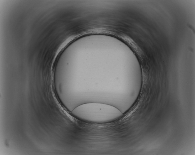 X0000098011286200803280722