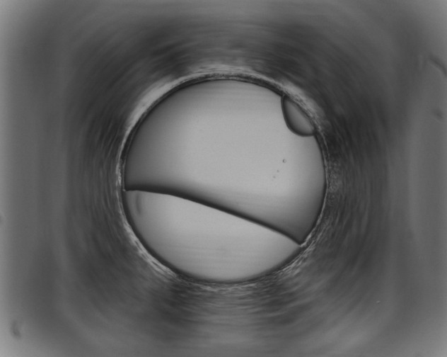 X0000098011287200803280722
