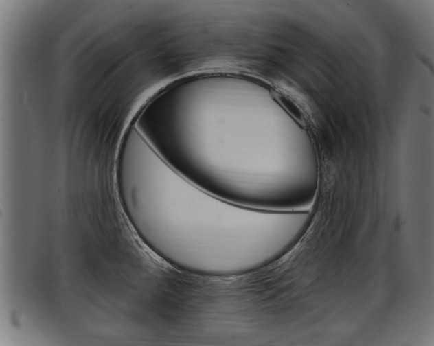 X0000098011288200803280722