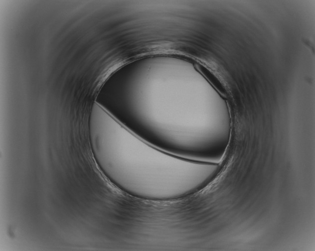 X0000098011289200803280722