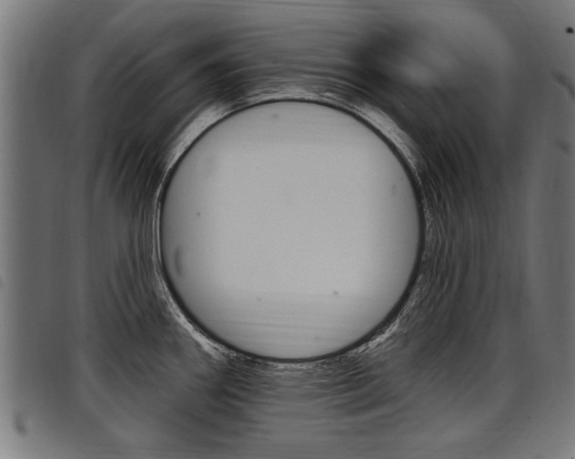 X0000098011290200803280722