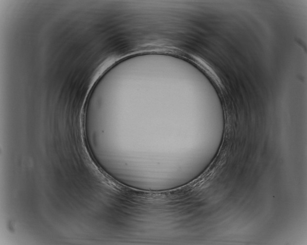 X0000098011291200803280722