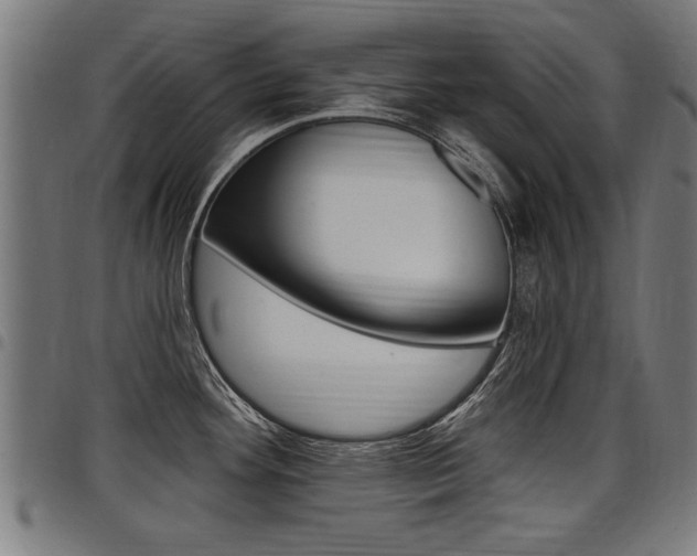 X0000098011292200803280722