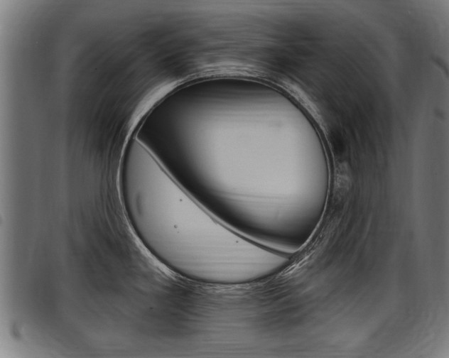 X0000098011293200803280722
