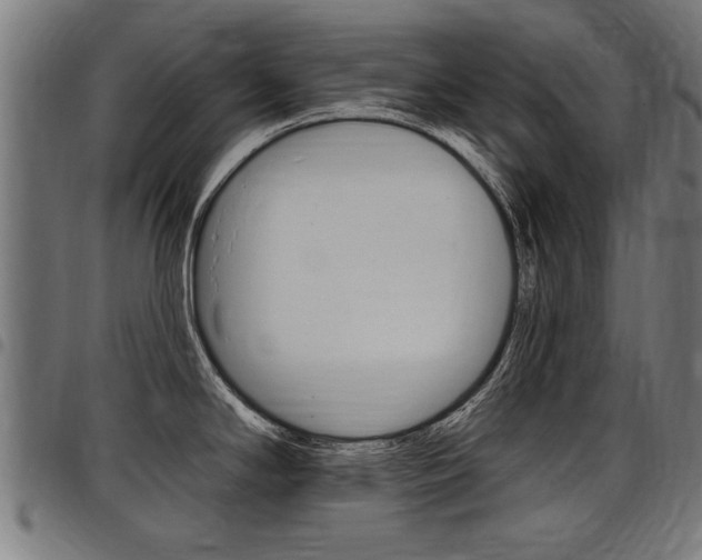 X0000098011294200803280722