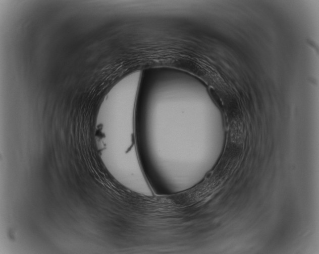 X0000098011298200803280721