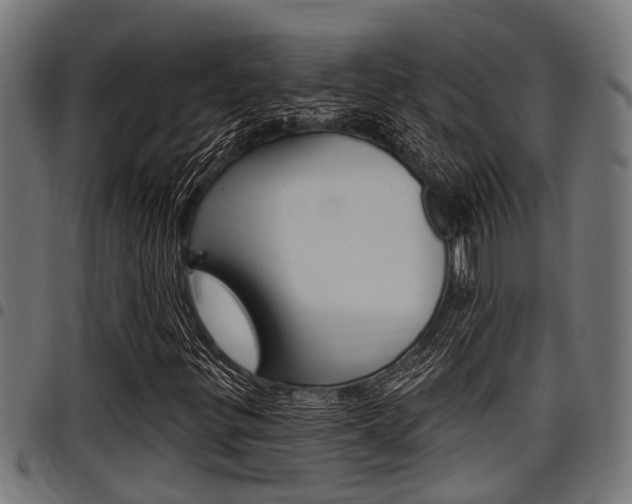 X0000098011299200803280721