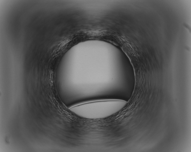 X0000098011301200803280721