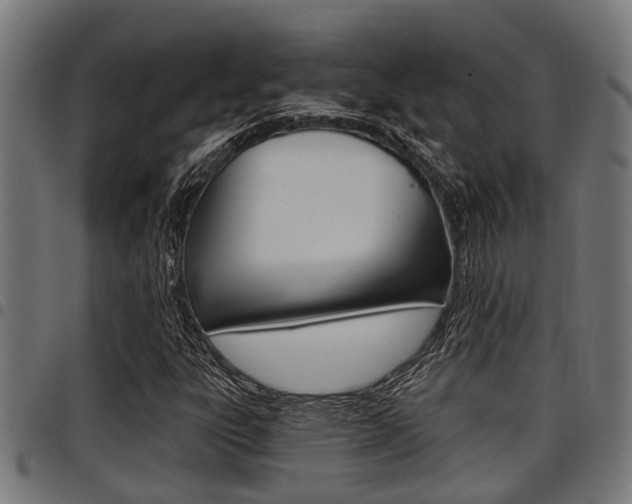 X0000098011303200803280721