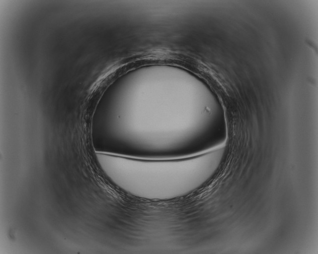 X0000098011304200803280721