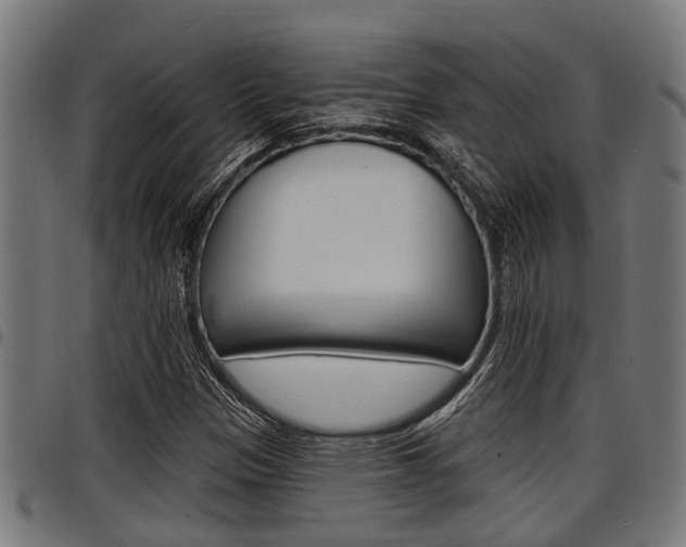 X0000098011305200803280721