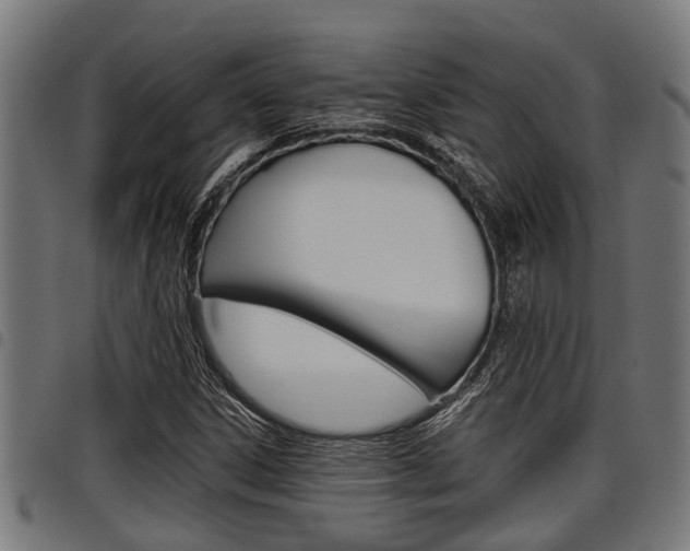 X0000098011306200803280721