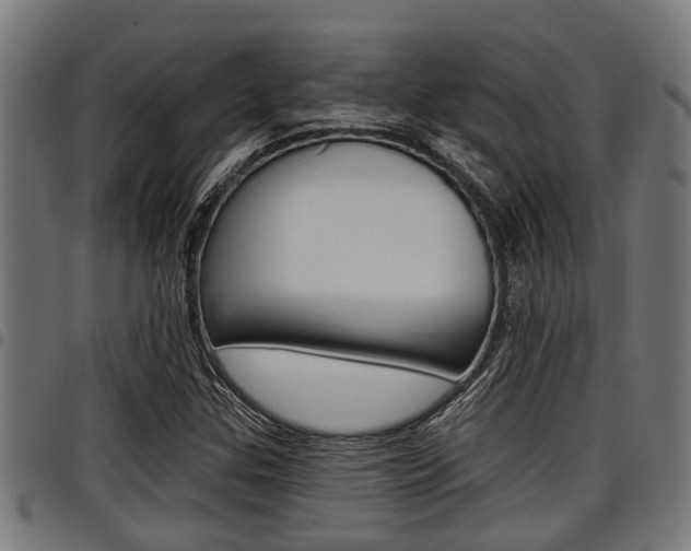 X0000098011307200803280721