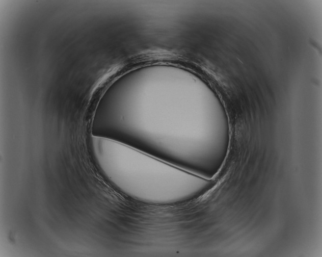 X0000098011309200803280721