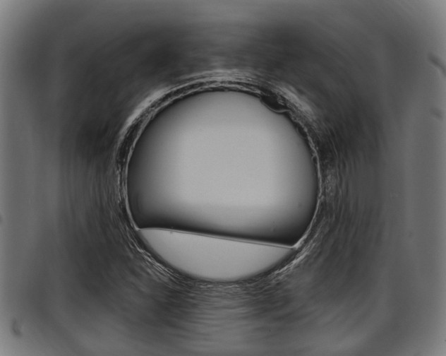 X0000098011310200803280721