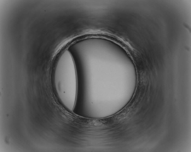 X0000098011311200803280721