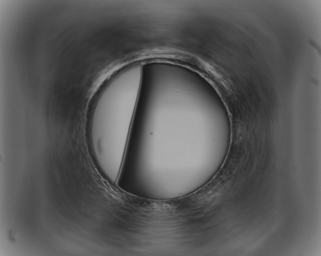 X0000098011312200803280721