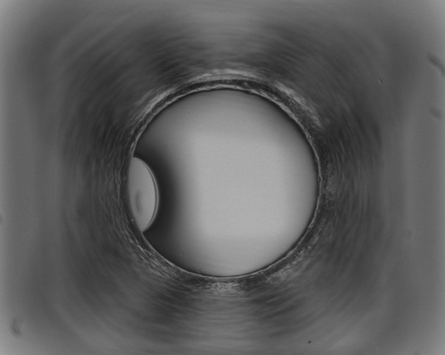 X0000098011313200803280722