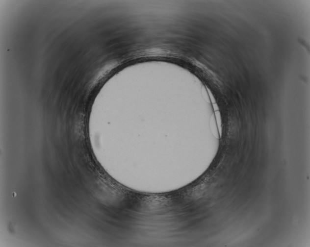 X0000098011314200803280722
