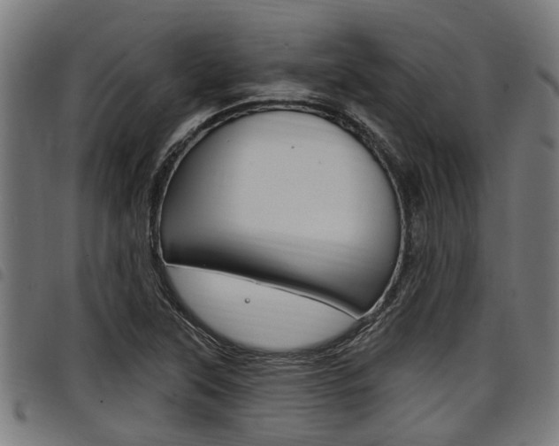 X0000098011315200803280722