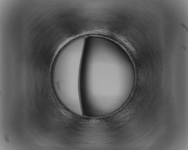 X0000098011316200803280722