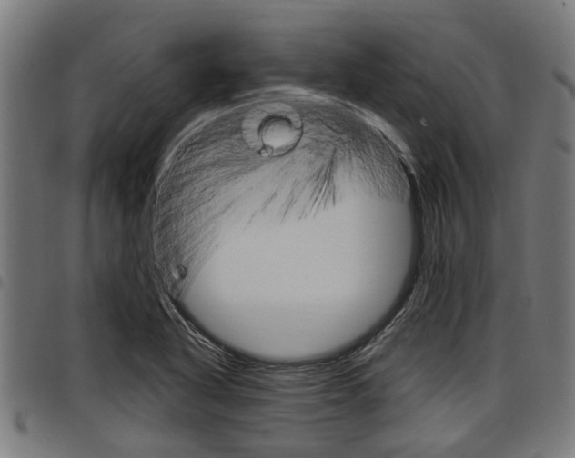 X0000098011318200803280722