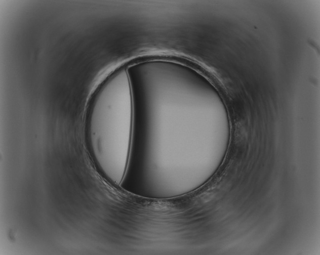 X0000098011319200803280722