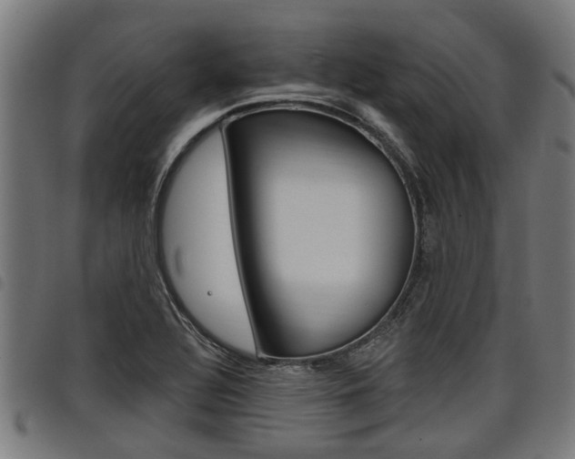X0000098011320200803280722